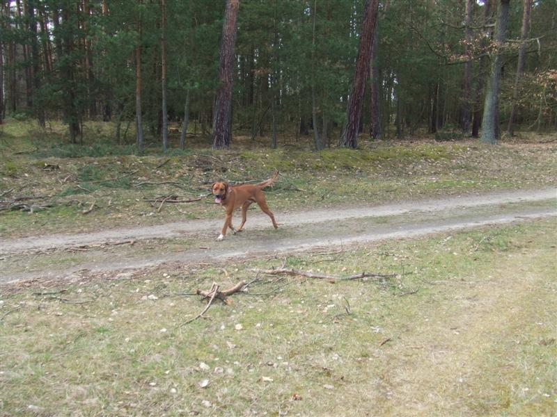 DSCF5039 (Medium).JPG